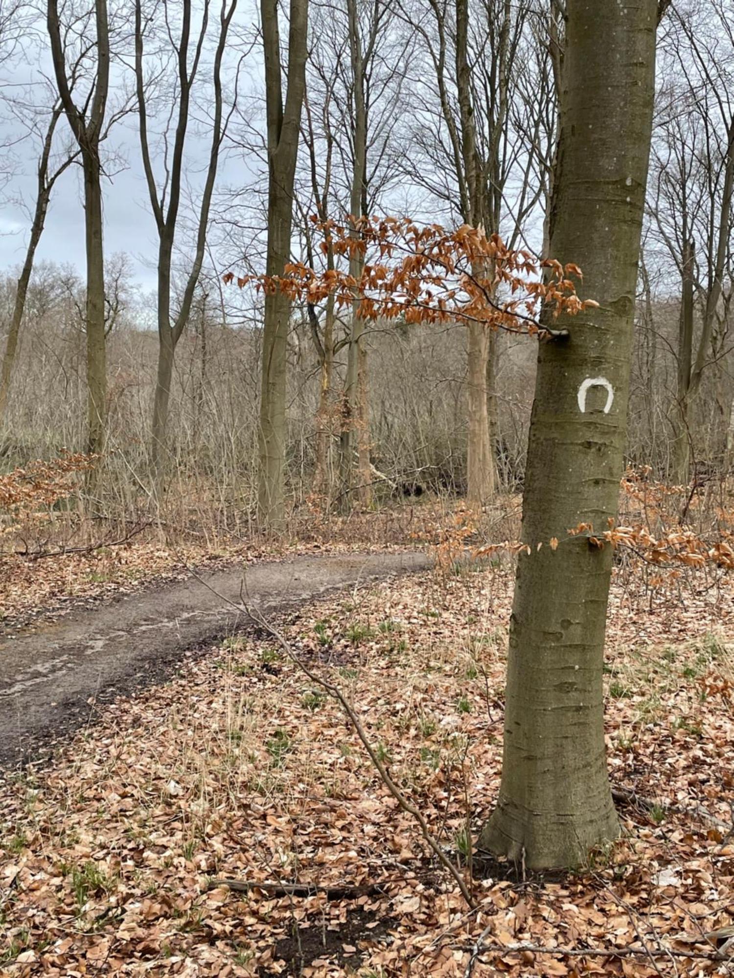 Jonstrupvejens Apartments Lejl B Ballerup Kültér fotó
